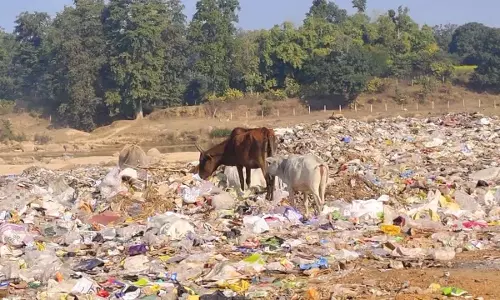 कचरे के डिस्पोज में लापरवाही, बाईपास रोड तक आ रही बदबू