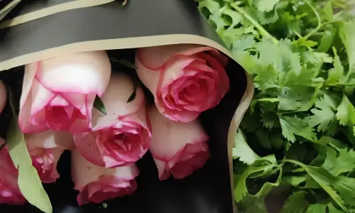 बॉयफ्रेंड ने गर्लफ्रेंड को गुलाब के रोमांटिक गुलदस्ते के साथ भेजे धनिया के पत्ते, पोस्ट हुआ वायरल
