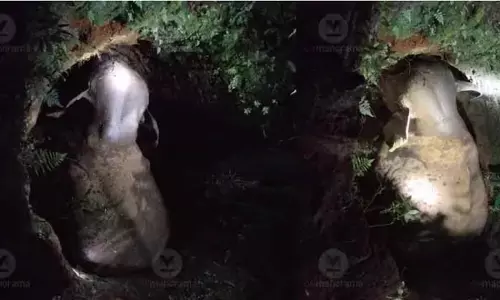 Malappuram में हाथी कुएं में गिरा, स्थानीय लोगों ने उसे उसी इलाके में छोड़ने का विरोध किया