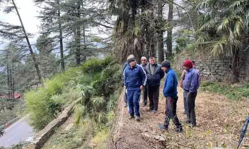 MC ऐतिहासिक कनलॉग कब्रिस्तान का पुनरुद्धार करने की योजना बना रहा