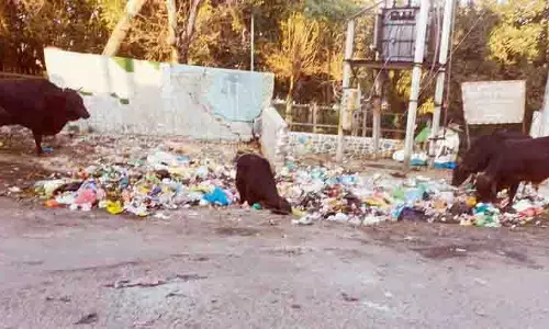 स्टाफ की कमी से Phagwara MC का काम प्रभावित स्टाफ की कमी से Phagwara MC का काम प्रभावित