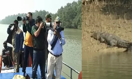 Rajnagar: भीतरकनिका मगरमच्छ गणना के नतीजे घोषित, संख्या में 15 की वृद्धि