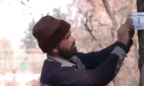 कश्मीर में चिनार के पेड़ों को संरक्षित करने के प्रयास में जियो-टैगिंग की प्रक्रिया शुरू, VIDEO कश्मीर में चिनार के पेड़ों को संरक्षित करने के प्रयास में जियो-टैगिंग की प्रक्रिया शुरू, VIDEO