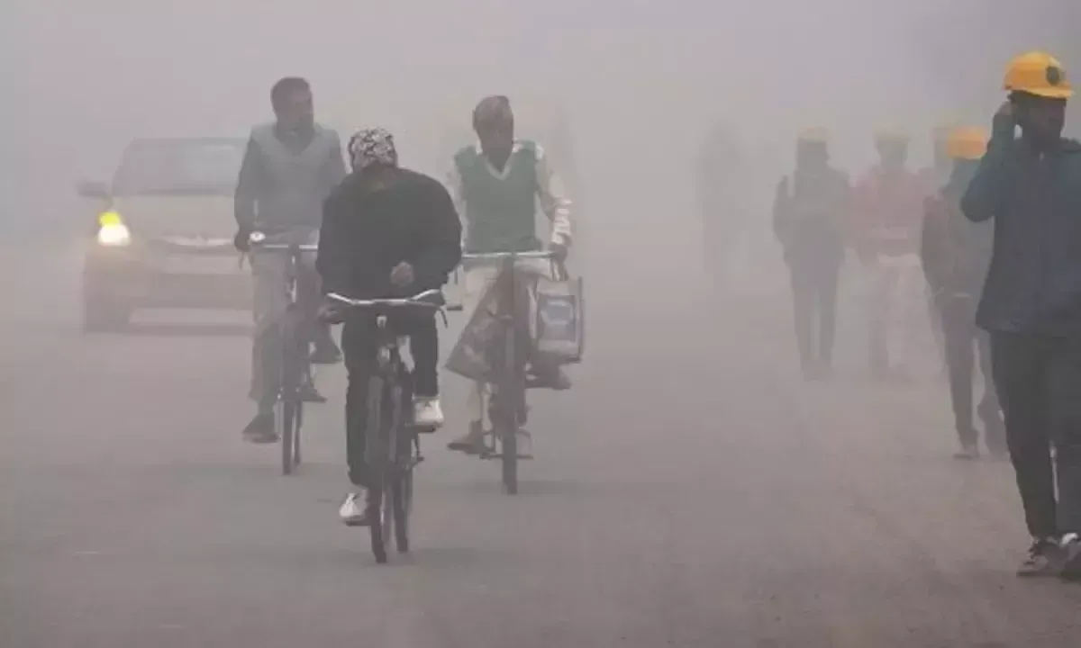 घने कोहरे और बर्फबारी से आंध्र प्रदेश के कई हिस्सों में यातायात बाधित