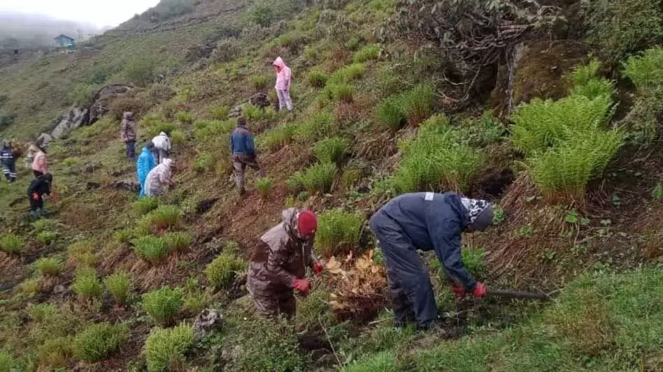 त्सोम्गो में हरियाली का पुनरुद्धार Sikkim के प्राचीन रत्न को संरक्षित