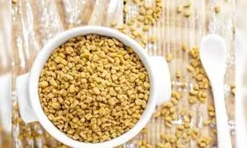 Health: डायबिटीज ही नहीं बल्कि इन गंभीर बीमारियों में भी बेहद फायदेमंद हैं मेथी के दाने Health: डायबिटीज ही नहीं बल्कि इन गंभीर बीमारियों में भी बेहद फायदेमंद हैं मेथी के दाने