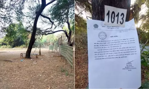 डोंबिवली मोथागांव-गोविंदवाड़ी घुमावदार सड़क पर 1110 पेड़ काटे गए डोंबिवली मोथागांव-गोविंदवाड़ी घुमावदार सड़क पर 1110 पेड़ काटे गए