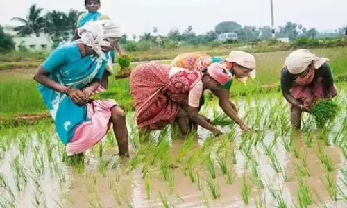 रायथु बंधु ने BRS नियम में बड़े पैमाने पर दुरुपयोग देखा