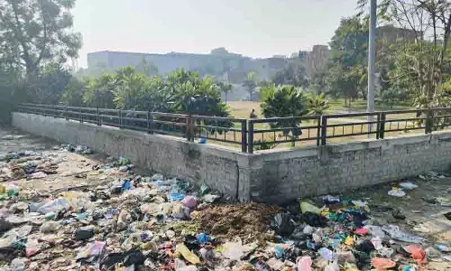 Ferozepur पार्क उपेक्षित, निवासियों ने सरकारी उदासीनता को ठहराया जिम्मेदार Ferozepur पार्क उपेक्षित, निवासियों ने सरकारी उदासीनता को ठहराया जिम्मेदार