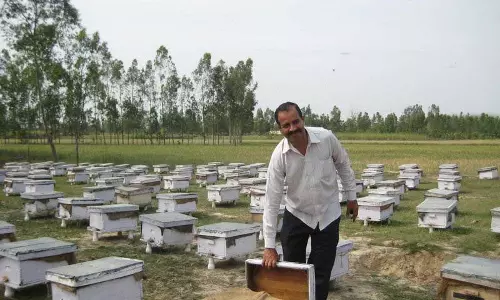 Haryana : यमुनानगर के मधुमक्खी पालक को केंद्र सरकार ने गणतंत्र दिवस समारोह Haryana : यमुनानगर के मधुमक्खी पालक को केंद्र सरकार ने गणतंत्र दिवस समारोह