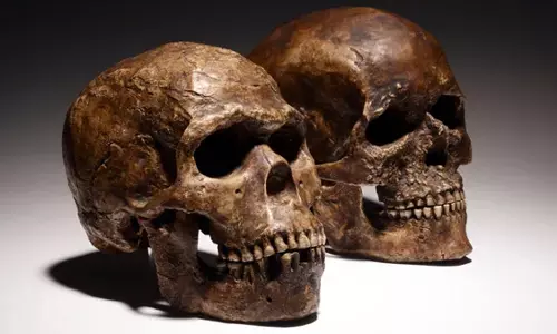 SCIENCE: निएंडरथल का रक्त प्रकार उनके विनाश की व्याख्या करने में सहायक