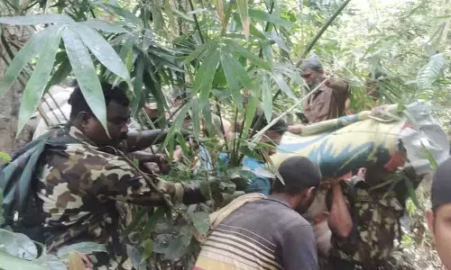 Kerala : वायनाड में आदिवासी महिला को मारने वाले बाघ को पकड़ने में विफल