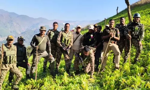 Manipur : चुराचांदपुर में अवैध अफीम की खेती नष्ट की गई Manipur : चुराचांदपुर में अवैध अफीम की खेती नष्ट की गई