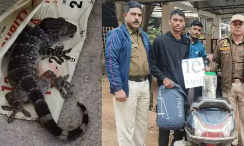 Assam : गुवाहाटी में छापेमारी में गेको छिपकली को बचाया गया Assam : गुवाहाटी में छापेमारी में गेको छिपकली को बचाया गया