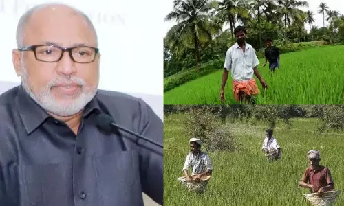 कृषि विभाग मुख्यालय में लाखों की हेराफेरी: जानकारी छिपाने वालों पर जुर्माना कृषि विभाग मुख्यालय में लाखों की हेराफेरी: जानकारी छिपाने वालों पर जुर्माना