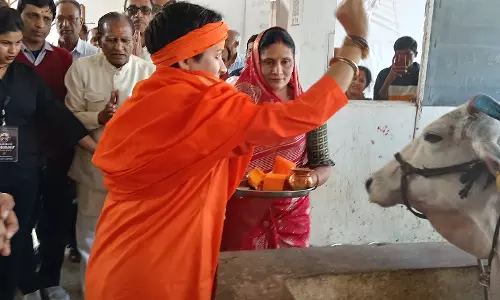 Nagda: गोपाल गौशाला में महामंडलेश्वर वर्षा गिरी ने की गौसेवा Nagda: गोपाल गौशाला में महामंडलेश्वर वर्षा गिरी ने की गौसेवा