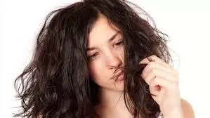 Hair Care:  सर्दियों में अगर आपके बाल भी रूखे हो गए हैं तो अपनाएं ये टिप्स