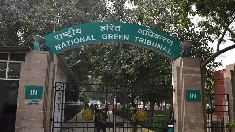 NGT ने असम और पूर्वोत्तर में वनों की क्षति पर जवाब मांगा