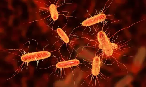 बीमार पड़े 73 लोग, टेस्ट में रहस्यमय बैक्टीरिया की पुष्टि