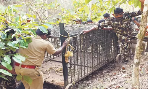 Kerala: वायनाड में बाघ के हमले में आदिवासी महिला की मौत से विरोध प्रदर्शन शुरू
