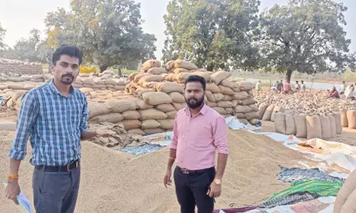 3 किसानों का धान सोसायटी ने लौटाए, गुणवत्ता में कमी मिली 3 किसानों का धान सोसायटी ने लौटाए, गुणवत्ता में कमी मिली