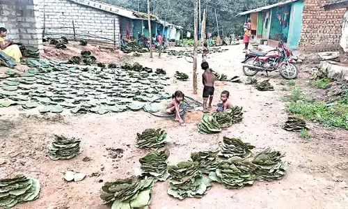Odisha: बिजली की रोशनी के बारे में पता नहीं Odisha: बिजली की रोशनी के बारे में पता नहीं