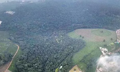 Balangir में 74 लाख पेड़ लगाने का वन विभाग का दावा विवादित