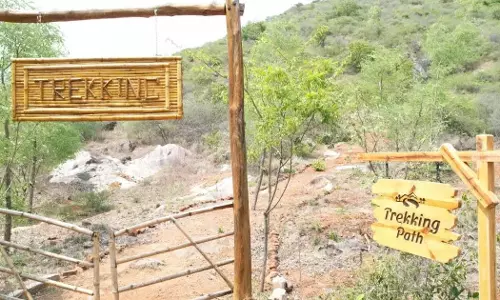 Perecherla नागरा वनम को साहसिक गतिविधियों के साथ नया रूप दिया गया Perecherla नागरा वनम को साहसिक गतिविधियों के साथ नया रूप दिया गया