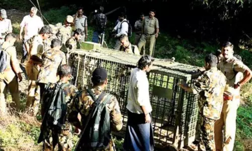Kerala :  वायनाड के पंचराकोली में आदमखोर बाघ को पकड़ने के लिए