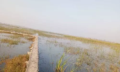 Haryana : जलभराव की समस्या स्थायी समाधान की योजना को मंजूरी का इंतजार