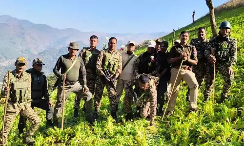 Manipur : चुराचांदपुर में 12 एकड़ अफीम की फसल नष्ट Manipur : चुराचांदपुर में 12 एकड़ अफीम की फसल नष्ट