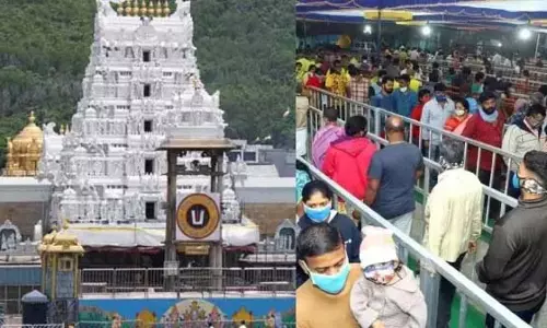 एकादशी के दिन तिरुपति में सात पर्वतों वाले हाथी के दर्शन संभव? पीड़ित भक्तगण एकादशी के दिन तिरुपति में सात पर्वतों वाले हाथी के दर्शन संभव? पीड़ित भक्तगण