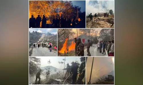 Arunachal के तवांग चू नदी क्षेत्र में भीषण आग लगने पर सेना की गजराज