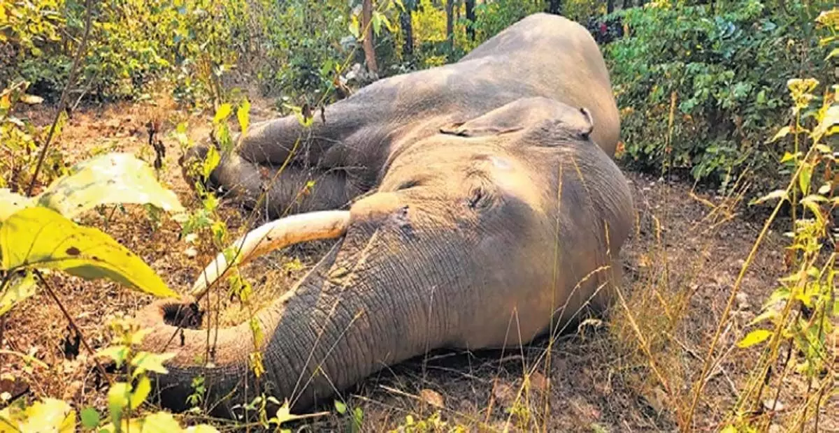 Odisha: दो जांबाजों के बीच हिंसक झड़प में एक की मौत