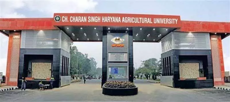 Haryana :  एचएयू के कुलपति का कार्यकाल बढ़ाया गया