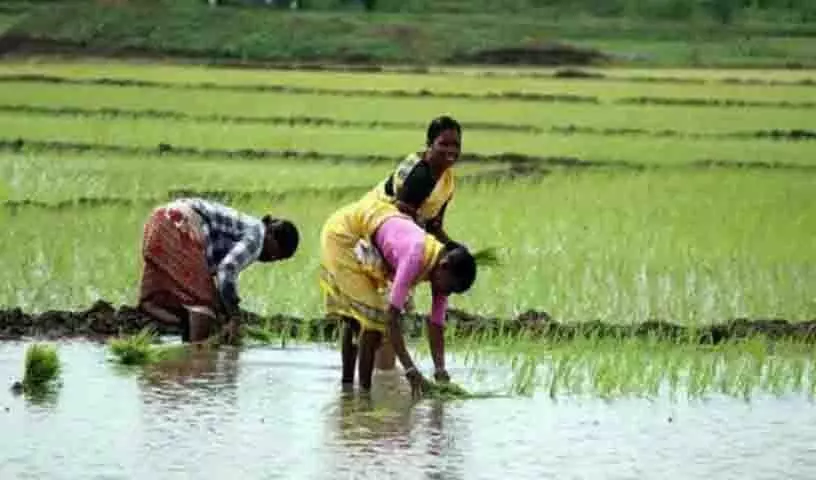 तेलंगाना के अधिक उधार लेने के कदम पर रोक लगाने से Raithu Bharosa में अनिश्चितता की स्थिति