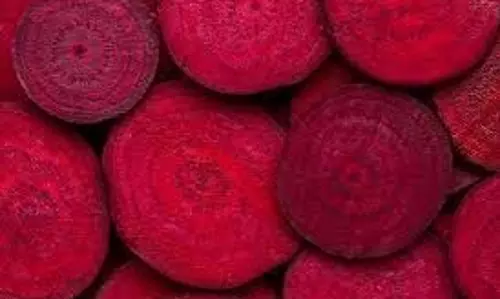 Health: चुकंदर का सलाद खाकर बोर हो गए हैं तो इस बार ट्राई करें चिप्स, मिलेंगे कमाल के स्वास्थ्य लाभ Health: चुकंदर का सलाद खाकर बोर हो गए हैं तो इस बार ट्राई करें चिप्स, मिलेंगे कमाल के स्वास्थ्य लाभ