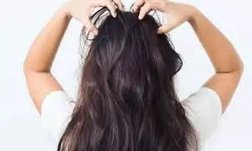 Hair Fall: शैम्पू करने से पहले लगाएं ये पैक, रुक जाएगा बालों का झड़ना Hair Fall: शैम्पू करने से पहले लगाएं ये पैक, रुक जाएगा बालों का झड़ना