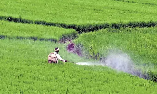 Bengaluru: चावल के कटोरे में डिजिटल क्रांति