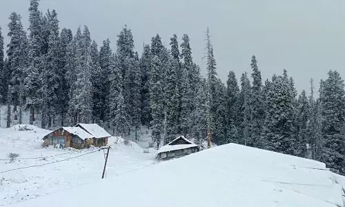 Kashmir में शीतलहर तेज़ हुई