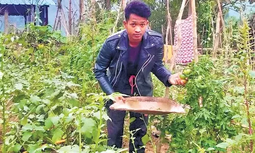 AP: मान्यम के युवक को जैविक खेती के लिए मिला जैविक इंडिया अवॉर्ड