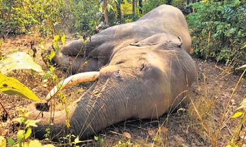 Odisha: दो जांबाजों के बीच हिंसक झड़प में एक की मौत