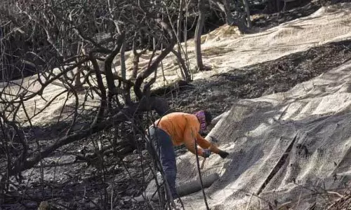 दक्षिणी कैलिफोर्निया में बारिश से अग्निशमन कर्मियों को मदद मिली