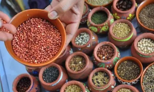 जैविक अनाज मेला: 105 विक्रय संगठनों ने भाग लिया, 185 करोड़ रु. समझौता