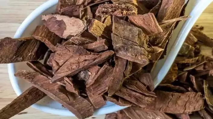 Arjuna Bark Face Pack: त्वचा संबंधी समस्याओं को दूर कर सकता है अर्जुन छाल का फेस पैक, ऐसे करें इस्तेमाल