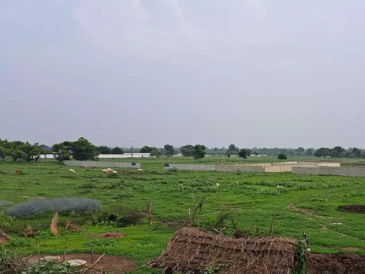 Gaziabad: विजयनगर में कब्जामुक्त की गई सेना की जमीन अब हरी-भरी होगी Gaziabad: विजयनगर में कब्जामुक्त की गई सेना की जमीन अब हरी-भरी होगी