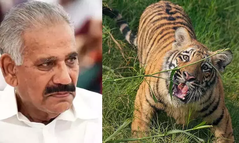 आबादी वाले क्षेत्रों में निगरानी बढ़ाई जाएगी: A.K. Saseendran आबादी वाले क्षेत्रों में निगरानी बढ़ाई जाएगी: A.K. Saseendran