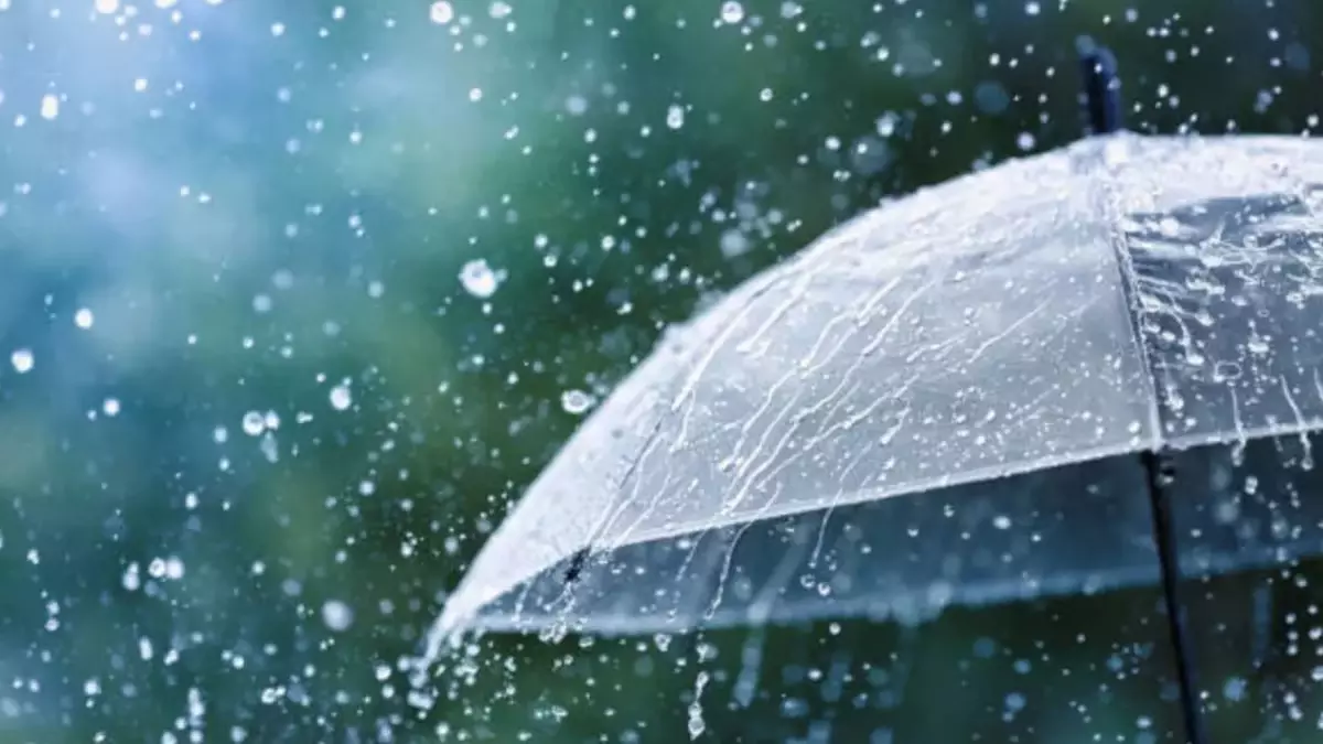 Bengaluru Weather: आईएमडी ने आगामी सप्ताह में हल्की बारिश की भविष्यवाणी की Bengaluru Weather: आईएमडी ने आगामी सप्ताह में हल्की बारिश की भविष्यवाणी की