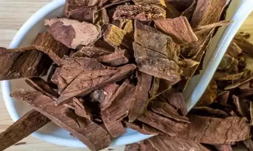Arjuna Bark Face Pack: त्वचा संबंधी समस्याओं को दूर कर सकता है अर्जुन छाल का फेस पैक, ऐसे करें इस्तेमाल