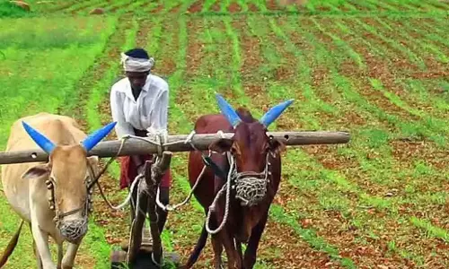Telangana: तेलंगाना के 606 गांवों में चार योजनाएं शुरू की गईं